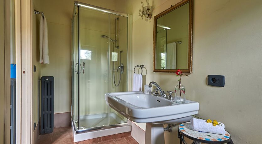 Photo of Between the Vines