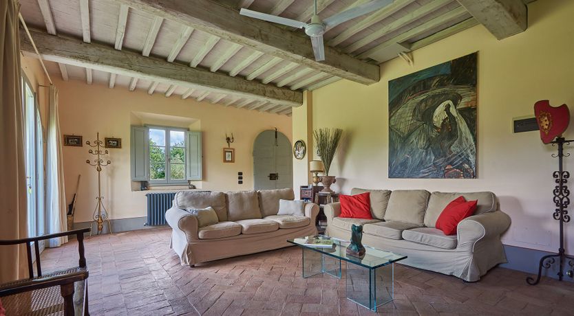 Photo of Between the Vines