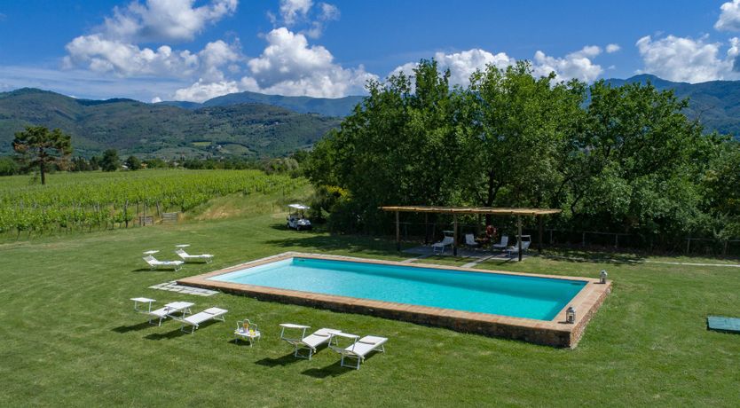 Photo of Between the Vines