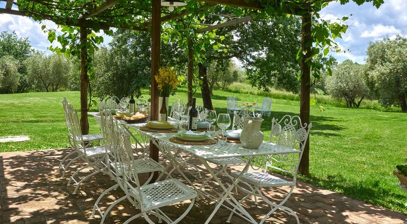 Photo of Between the Vines