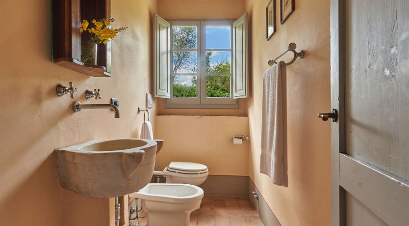 Photo of Between the Vines