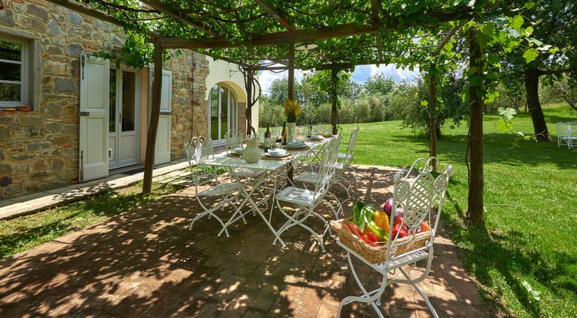 Photo of Between the Vines