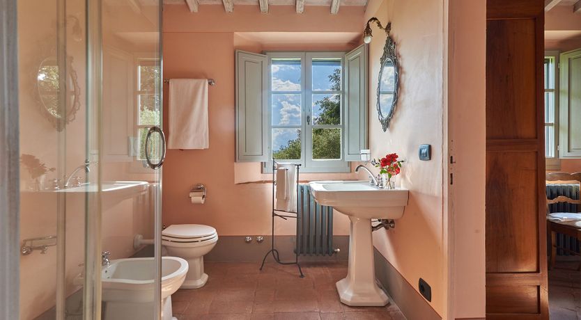 Photo of Between the Vines