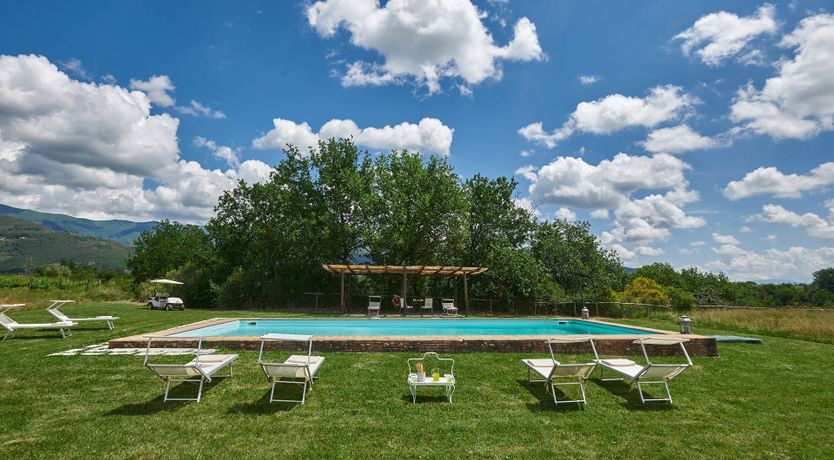 Photo of Between the Vines