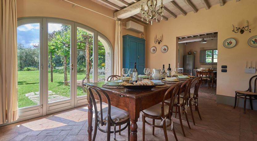 Photo of Between the Vines