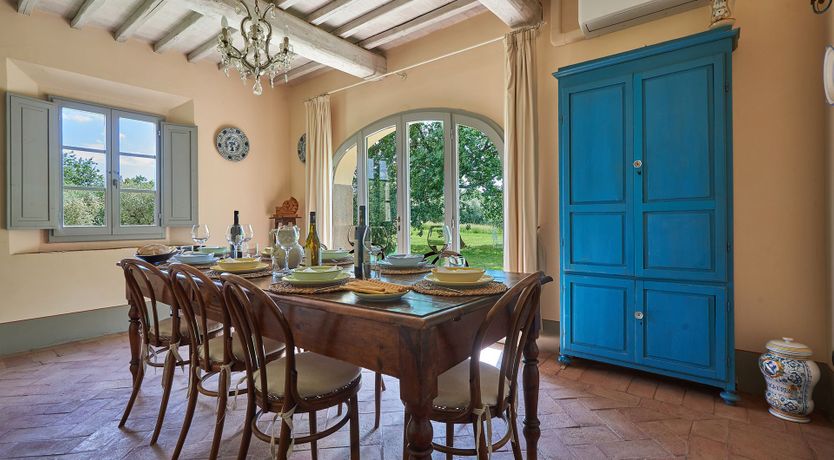 Photo of Between the Vines