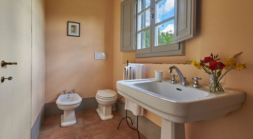 Photo of Between the Vines