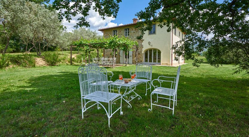 Photo of Between the Vines