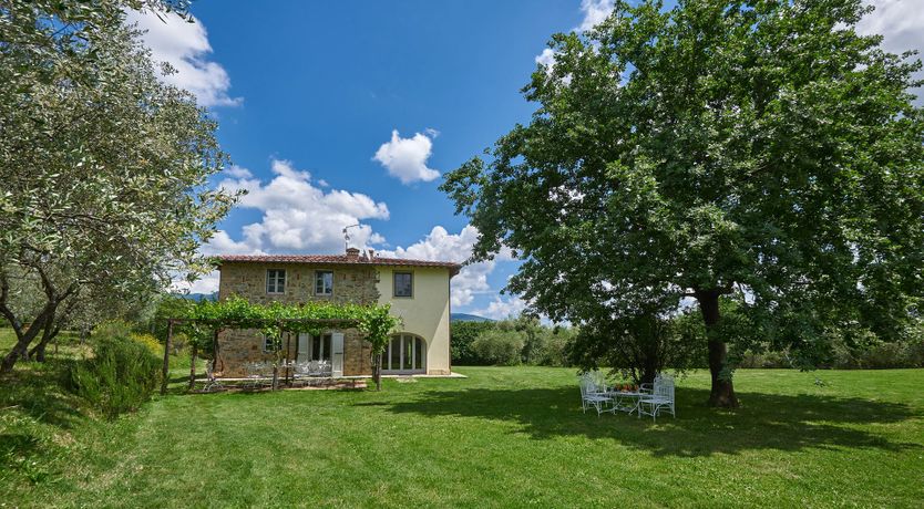 Photo of Between the Vines