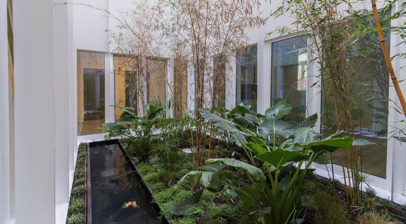 Photo of The Golden Hours