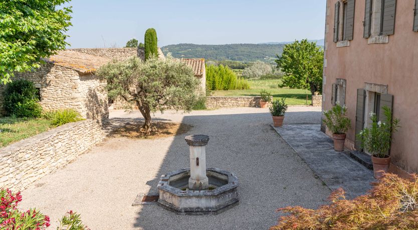 Photo of The French Rose