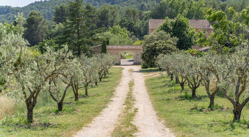 Photo of The French Rose