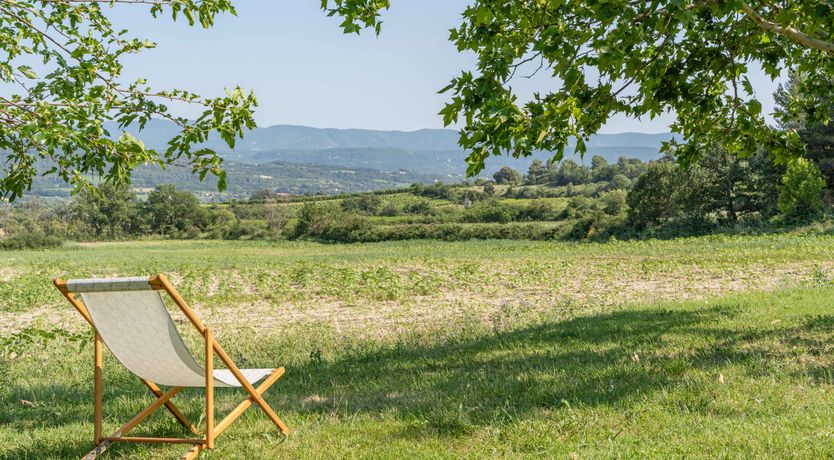 Photo of The French Rose