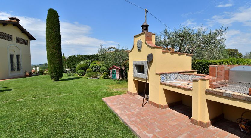 Photo of Tuscan Olive Grove