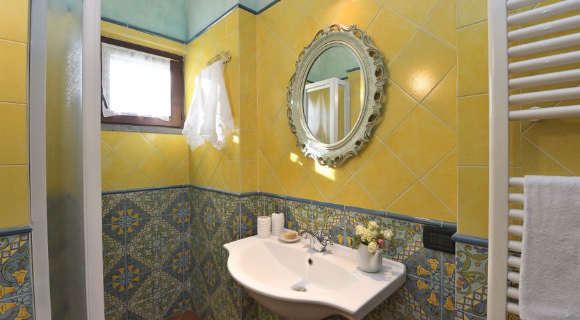 Photo of Tuscan Olive Grove