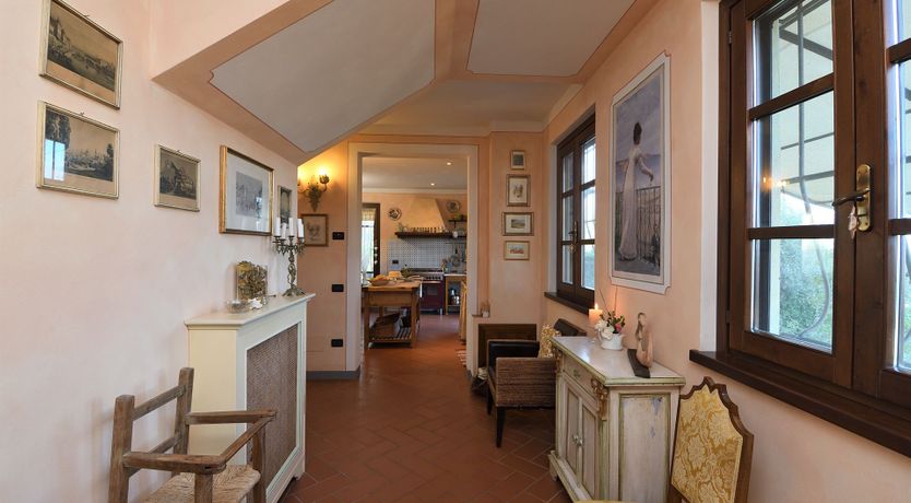 Photo of Tuscan Olive Grove