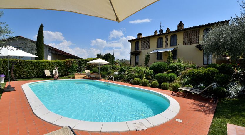 Photo of Tuscan Olive Grove