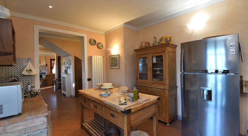 Photo of Tuscan Olive Grove