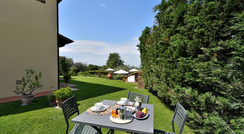 Photo of Tuscan Olive Grove