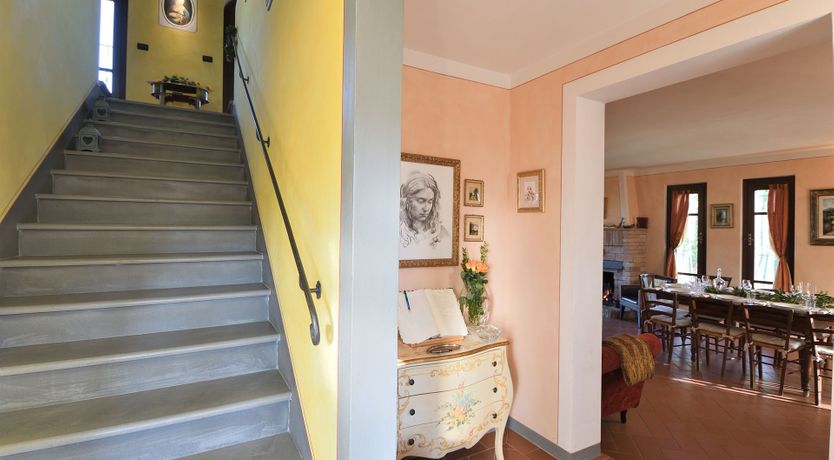 Photo of Tuscan Olive Grove