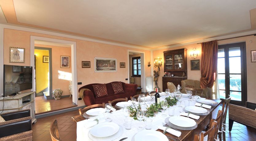 Photo of Tuscan Olive Grove