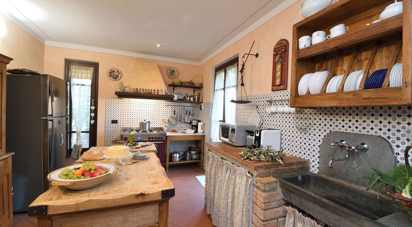 Photo of Tuscan Olive Grove