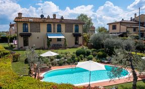 Photo of Tuscan Olive Grove