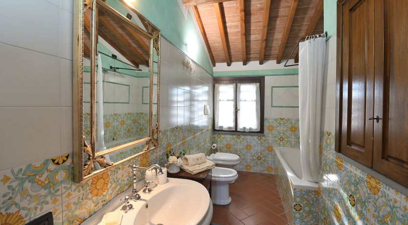 Photo of Tuscan Olive Grove