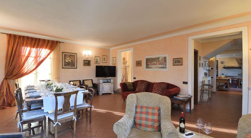 Photo of Tuscan Olive Grove