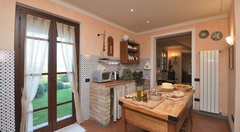 Photo of Tuscan Olive Grove