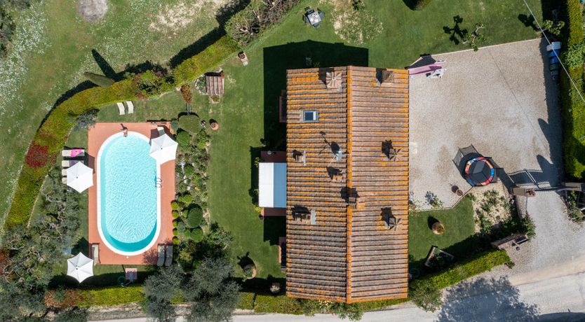 Photo of Tuscan Olive Grove