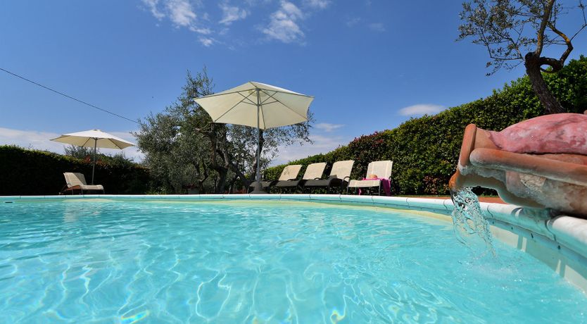 Photo of Tuscan Olive Grove