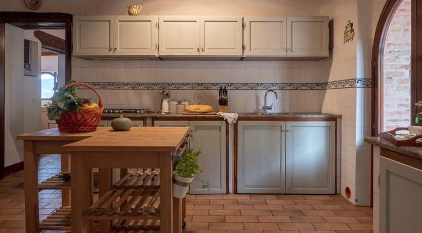 Photo of Wisteria Splendour