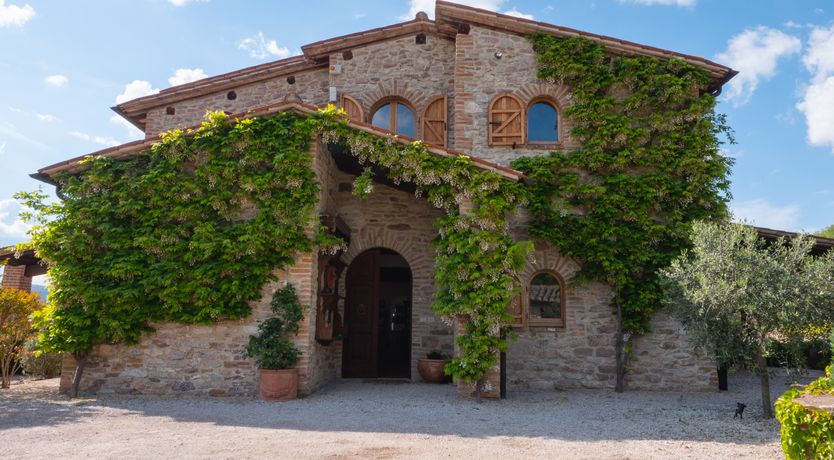 Photo of Wisteria Splendour