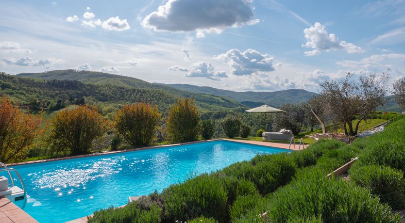 Photo of Wisteria Splendour