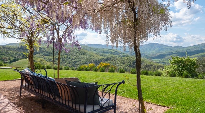 Photo of Wisteria Splendour
