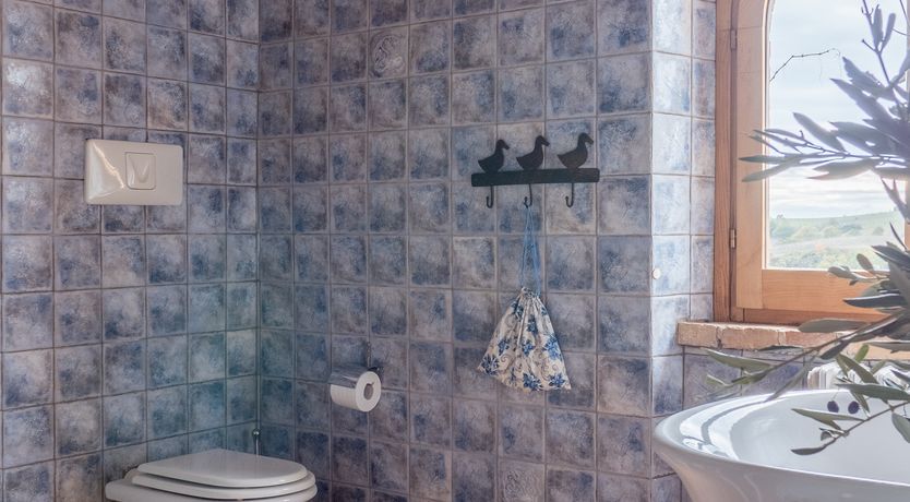 Photo of Wisteria Splendour