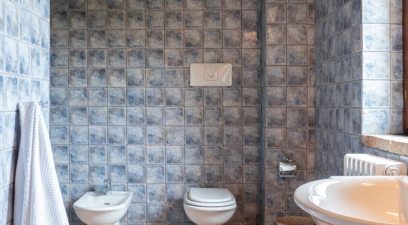 Photo of Wisteria Splendour