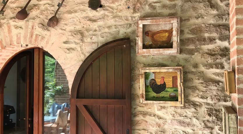 Photo of Wisteria Splendour