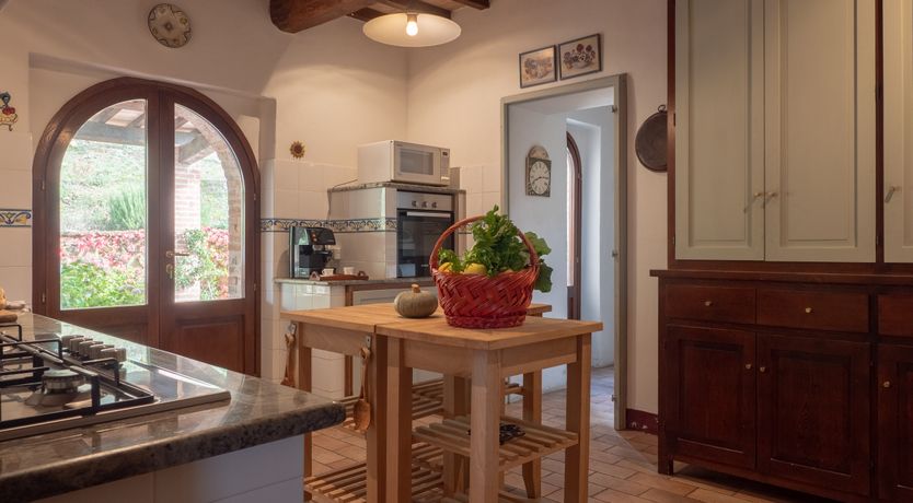 Photo of Wisteria Splendour