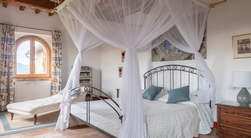 Photo of Wisteria Splendour