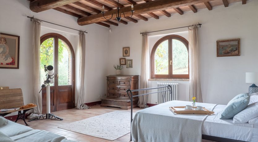 Photo of Wisteria Splendour