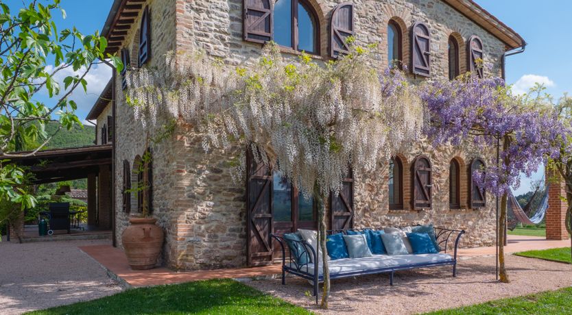 Photo of Wisteria Splendour