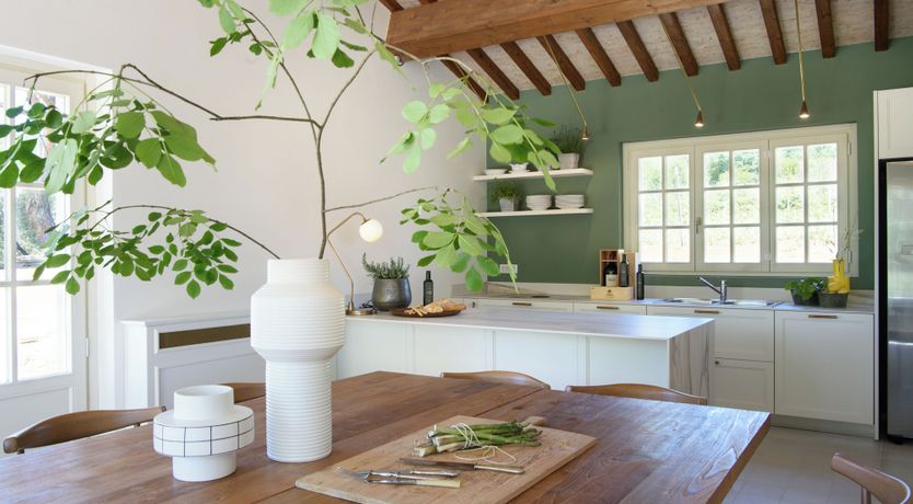 Photo of Vineyard Dream