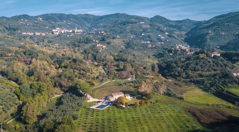 Photo of Vineyard Dream