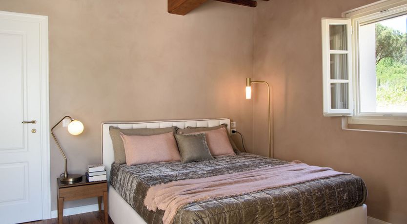 Photo of Vineyard Dream