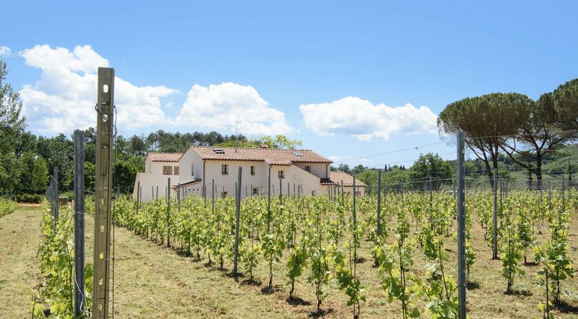 Photo of Vineyard Dream