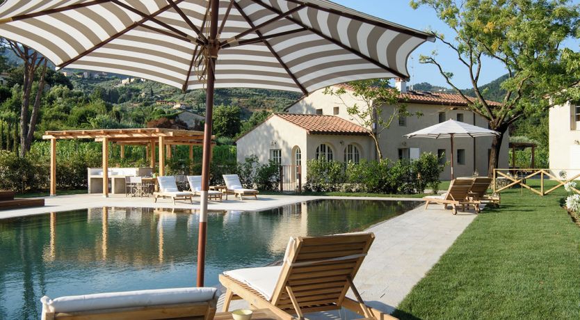 Photo of Vineyard Dream