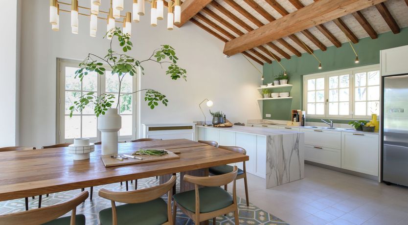 Photo of Vineyard Dream