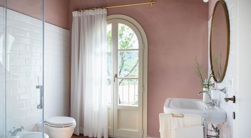 Photo of Vineyard Dream